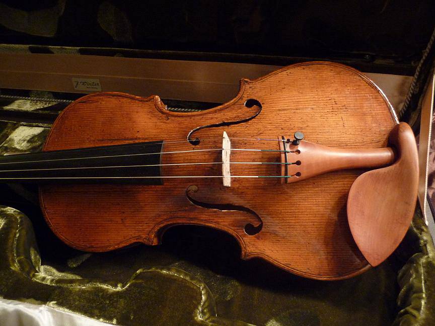 Stringed Instruments made by Violin Maker Günter H. Lobe